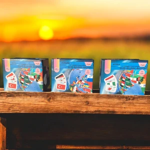 Novo Mundo Avrupa-Asya-Afrika Ülkeleri-Harita-Bayrak-Başkent Kartları Üçlü Avantaj Set