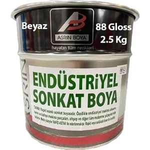 Rapid Endüstriyel Boya Beyaz 2.5 kg
