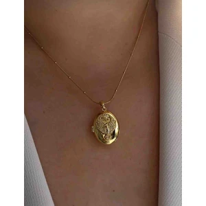 Ankakuşu Alya Kolyesi Gold Renk Çelik Kapaklı Kolye