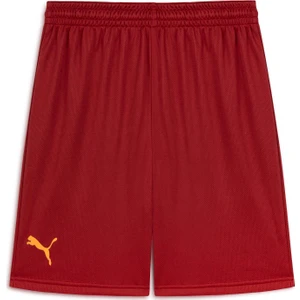 Galatasaray Antrenman Şort