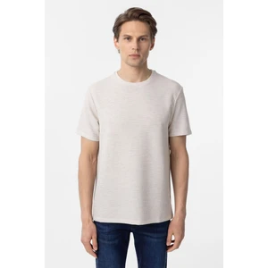 Bej Regular Armürlü Bisiklet Yaka Tişört