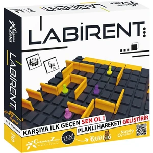 Çekirdek Zeka Labirent Oyunu