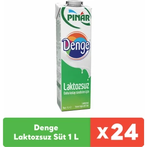 Denge Laktozsuz Süt 1 L x 24 Adet