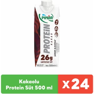 Kakaolu Protein Süt 500 ml x 24 Adet