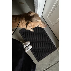 PS021A Siyah Kaymaz Taban Nem Alıcı Toz Alıcı Kapı Önü Paspası Uv Dayanıklı 45X70 cm