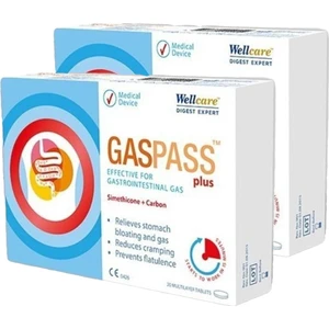 Seddar Collection Wellcare Gaspass Plus 20 Tablet 2 Adet