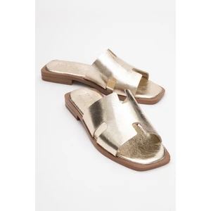 Jez Altın Hakiki Deri Kadın Terlik