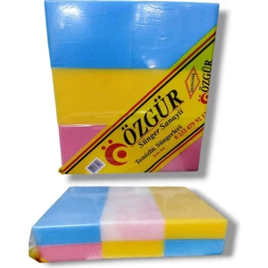 Endüstriyel Büyük Boy Sünger 12LI