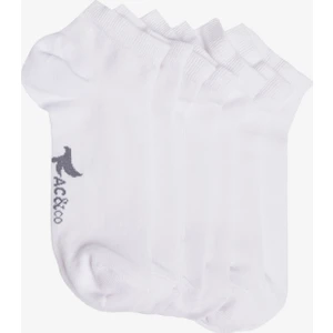 Pamuklu 5'li Paket Esnek Patik Çorap
