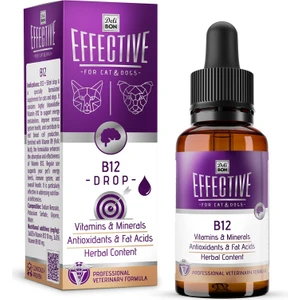 Effective Kedi ve Köpek Takviye Ürünleri B12 50ML