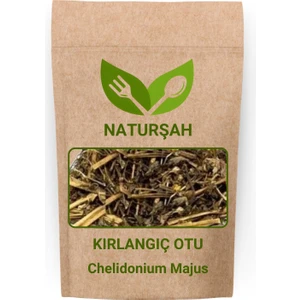 Kırlangıç Otu / Chelidonium Majus 50 gr