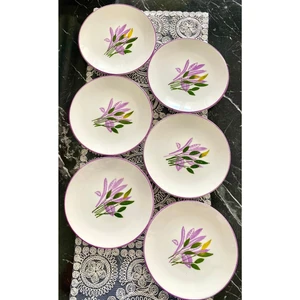 Başak Lila 6 Adet Pasta&sunum&servis Tabağı