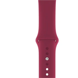 Watch Uyumlu Series 3 4 5 6 7 8 9 Se 42 44 45 49 Series 10 46MM (L) Silikon Kordon Kayış