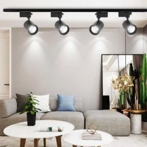 Serenity Haven Ray Spot 4 Lü Set Siyah Kasa Beyaz Işık 1 M Siyah Ray