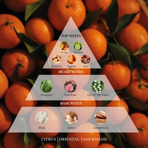Atelier Rebul Mandarine Sorbet Saç & Vücut Misti 100 ml - Sınırlı Sayıda