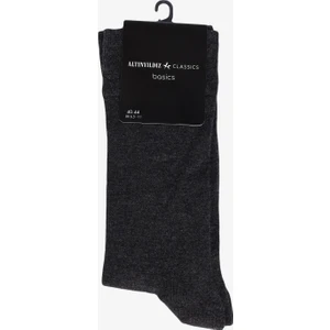 ALTINYILDIZ CLASSICS Erkek Marengo Bambulu Tekli Çorap