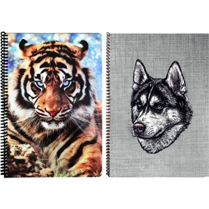 A4 Plastik P.p Kapak 60 Yaprak Çizgili Desenli Telli Defter Seti