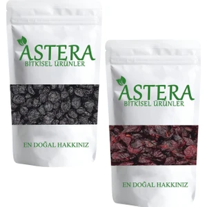 250 gr Blueberry - 250 gr Cranberry ( Turna Yemişi )
