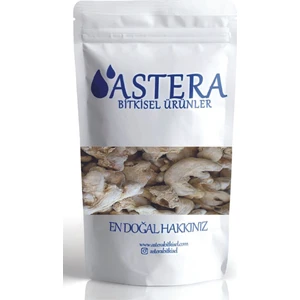 100 gr Zencefil Tane Kök Zencefil