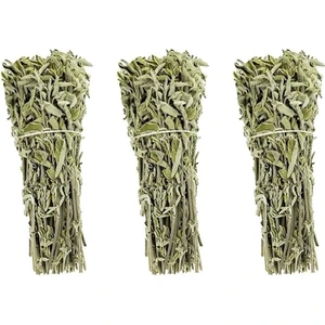 3 Adet Yeni Mahsül Dağ Adaçayı Çalba gri Adacayı