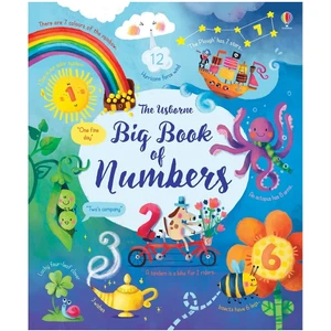 Big Book Of Numbers