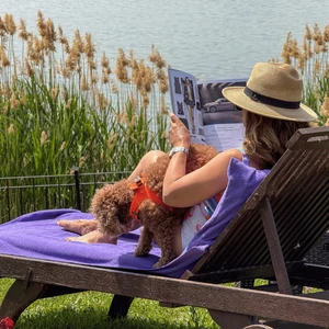 %100 Pamuk 190X73 Plaj Şezlong Havlusu