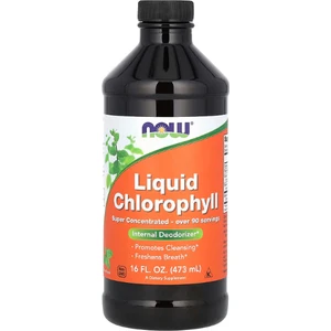 Liquid Chlorophyll, Mint , 16 Fl Oz (473 Ml)
