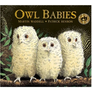 Owl Babies