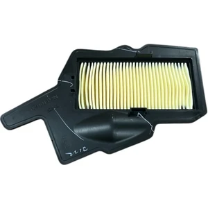 Tvs Raider 125 Hava Filtresi