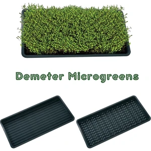 Demeter Microgreens Topraklı Mikro Yeşillik Yetiştirme Tepsisi, Bpa İçermeyen Plastikten