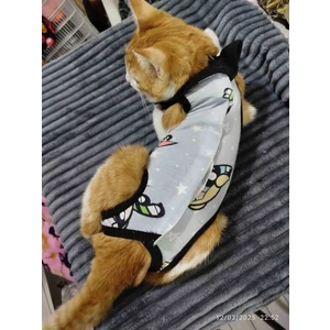 Kedi Köpek Ameliyat Sonrası Koruma Tulumu