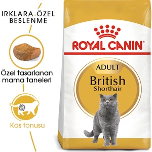 Royal Canin British Shorthair Adult Yetişkin Kedi Maması 2 Kg