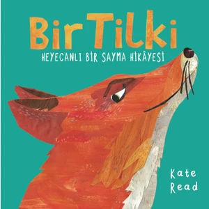 Bir Tilki Heyecanlı Bir Sayma Hikayesi - Kate Read