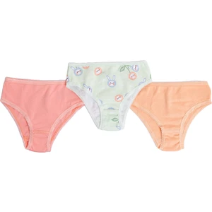 Hellobaby Kız Bebek 3lü Külot Karışık Renkli