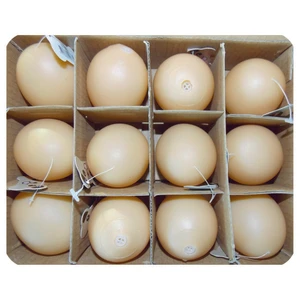 Eastland Plastik Yumurta Oyn. 12'li 5cm