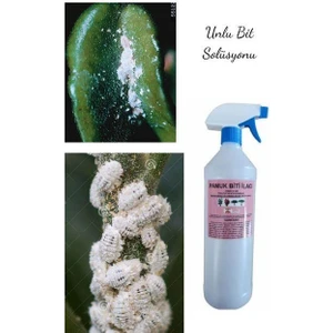 Çiçek ve Bitkiler Için Unlu Pamuk Biti Ilacı 1000 ml