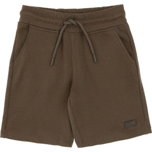 U.s. Polo Assn. Erkek Çocuk Vizon Şort (Örme) 50300191-VR052