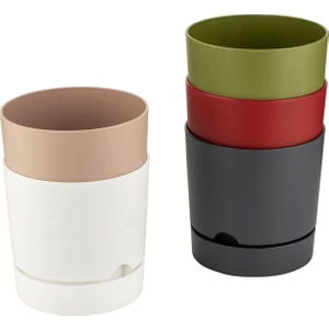 Begonya Saksı 1,80 Lt