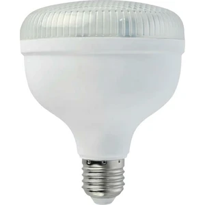 30 Watt Crystal LED Ampul Günışığı