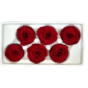 Şoklanmış Solmayan Gül Kırmızı 6 Adet