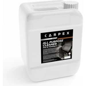 Araç İçi Temizleyici 5L