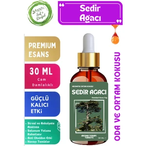 Aroma Terapi TR Sedir Ağacı - Esansiyel Koku Yağı 30 Ml- Oda ve Ortam Kokusu