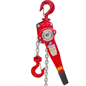 GRH15 Hubzug 1.5 Ton 1.5 mt