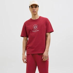 Jack & Jones Erkek Kisa Kollu Baskili Tisört - Dia