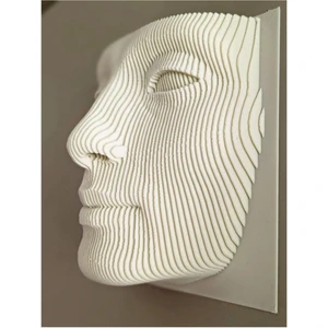 Parametric Nefertiti-Wall Art