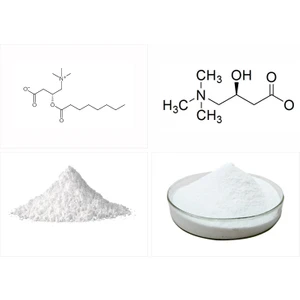 Acetyl L-Carnitine 50 GR