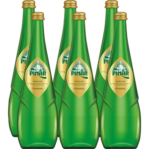 Premium Gazlı Su 6x750 ml