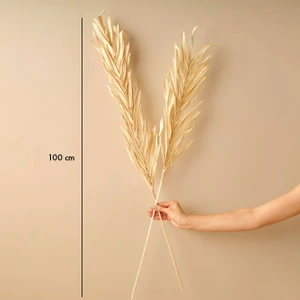 Bella Maison Linden Dal Buket Naturel (100 Cm)