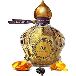 Osmanlı Oud Warriors Cesaret EDP 65 ML Erkek Parfümü – Odunsu Aromatik Deniz – 4101