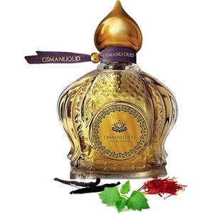 Osmanlı Oud Warriors Ergün EDP 65 ML Erkek Parfümü – Şipre – 4118